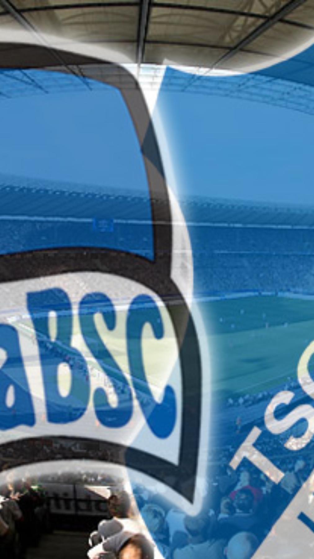 Hoffenheim in Berlin on matchday 29