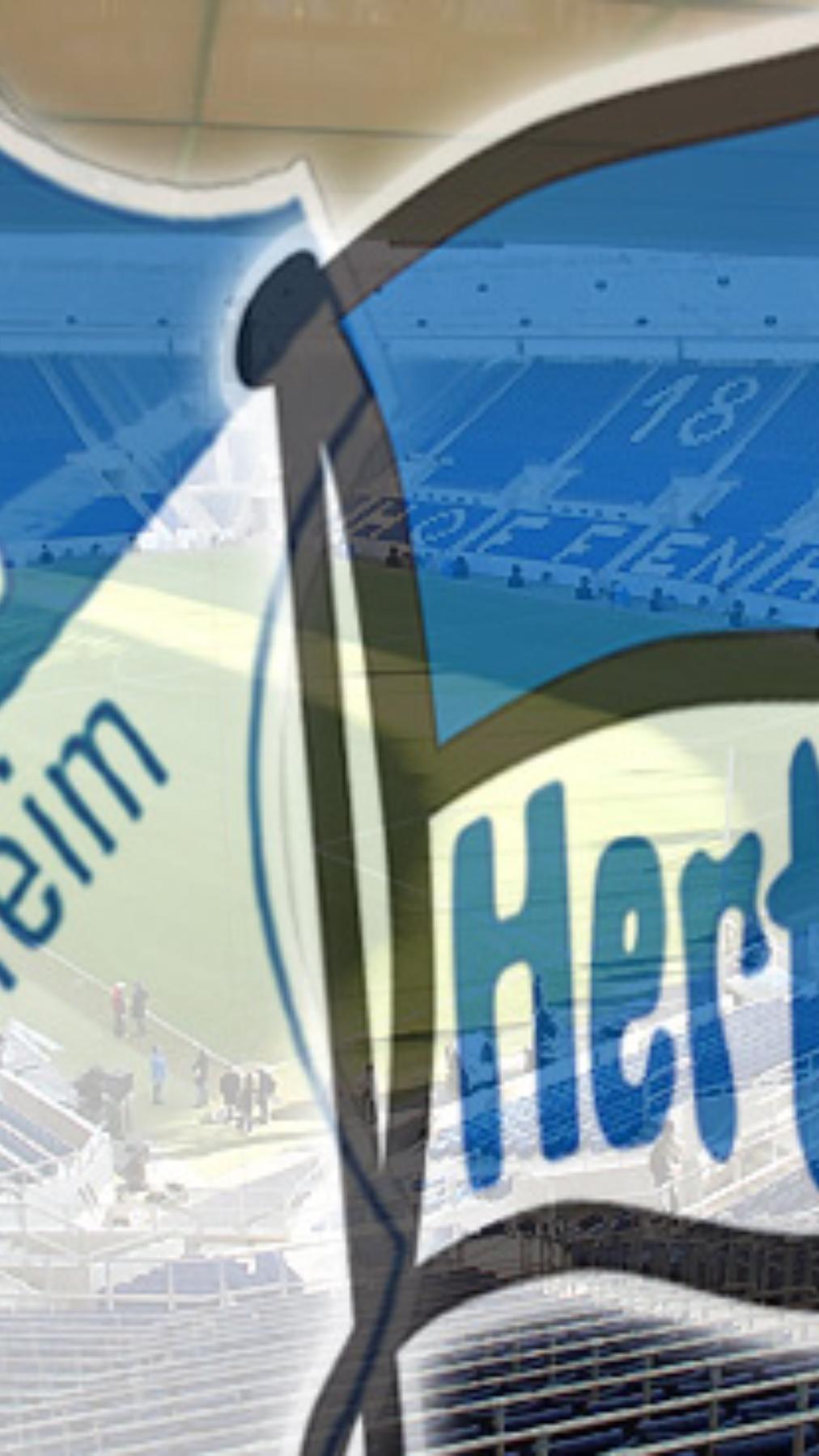 Hoffenheim: End to end game?