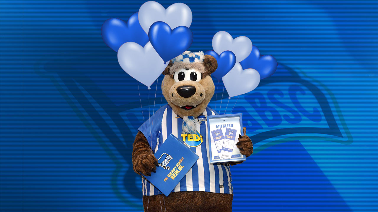 Blau-weißes Valentinstagsgeschenk