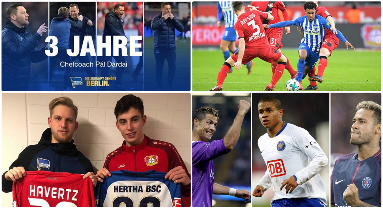 #hahohe #herthabsc