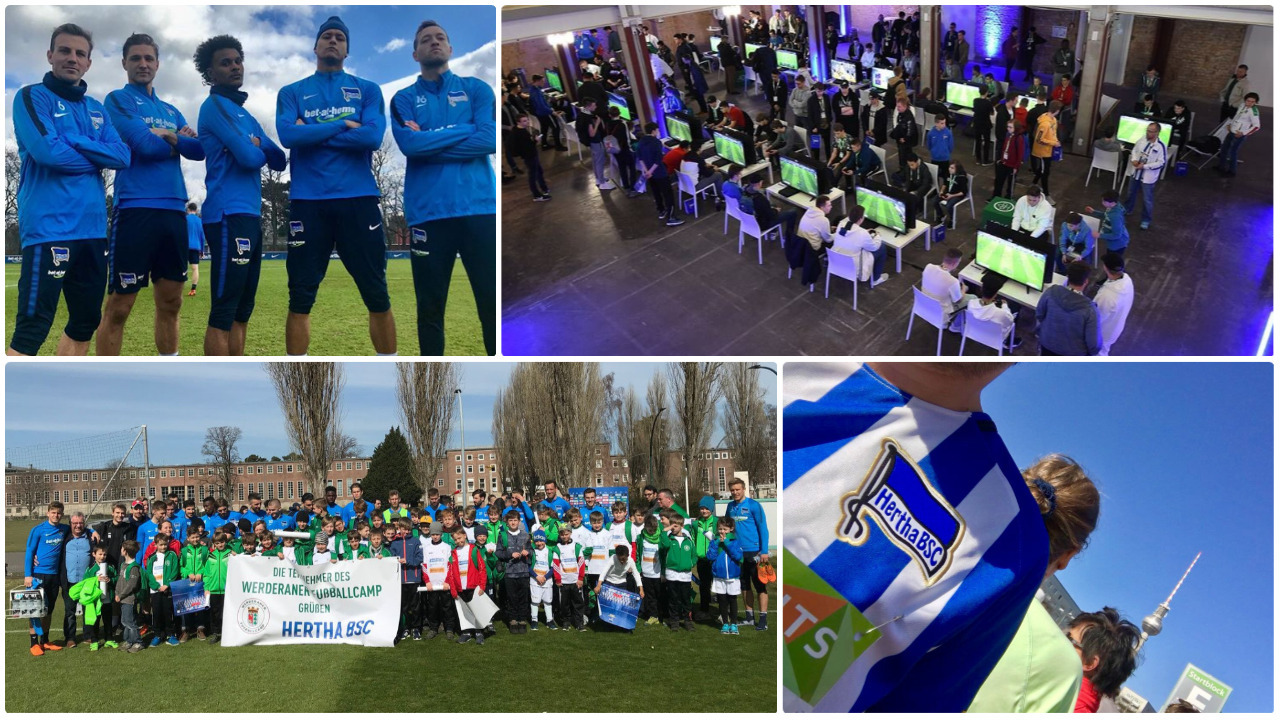 #hahohe #herthabsc