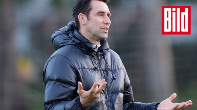 "Ich werde beweisen: Ich kann Bundesliga"