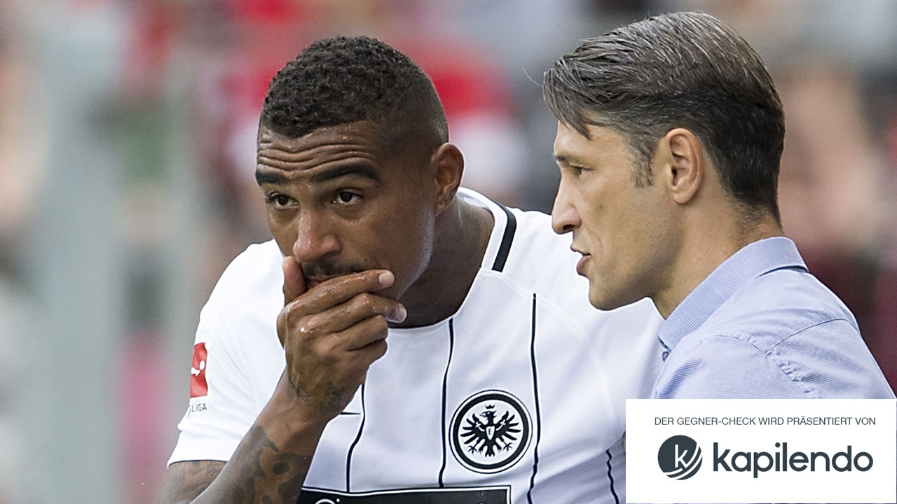 Kiek ma, wer da kommt: Eintracht Frankfurt