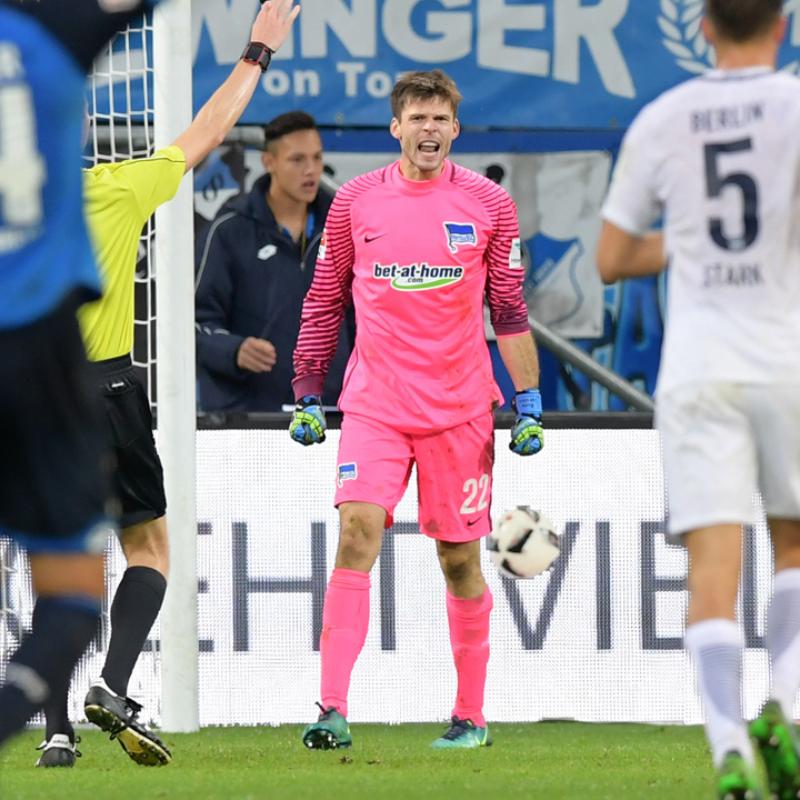 hoffenheim-hertha-1617_16