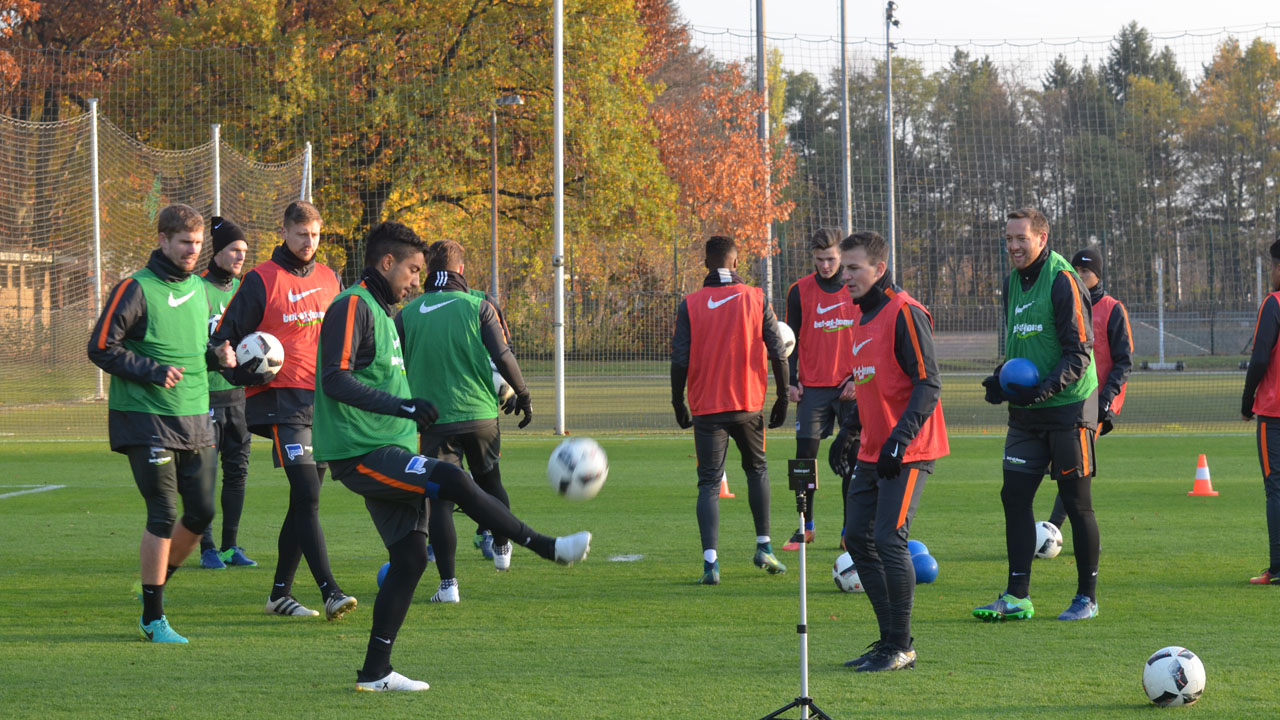 Training für's Gehirn