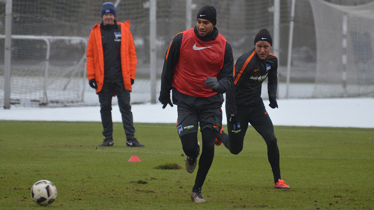 Auftakt ohne Ibisevic und Plattenhardt