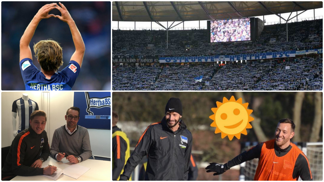 #hahohe #herthabsc