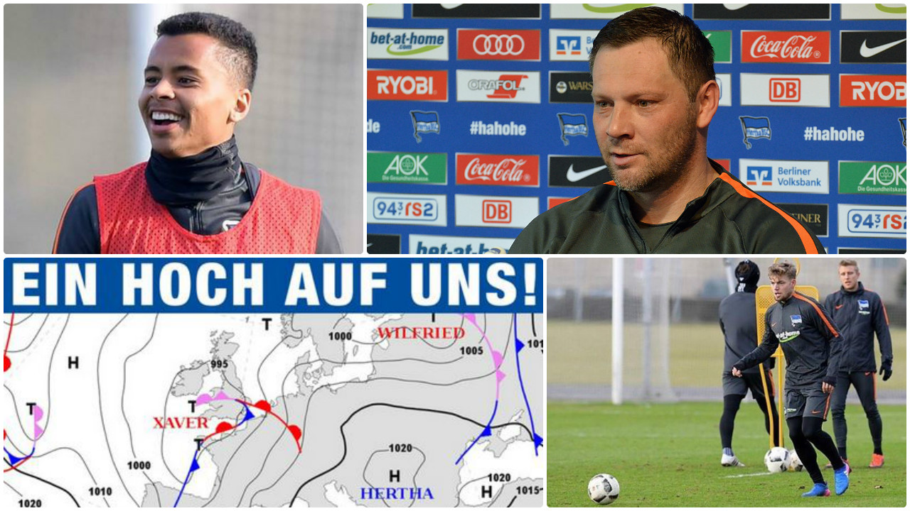 Angeschnitten: Allan - PK - Hertha-Hoch