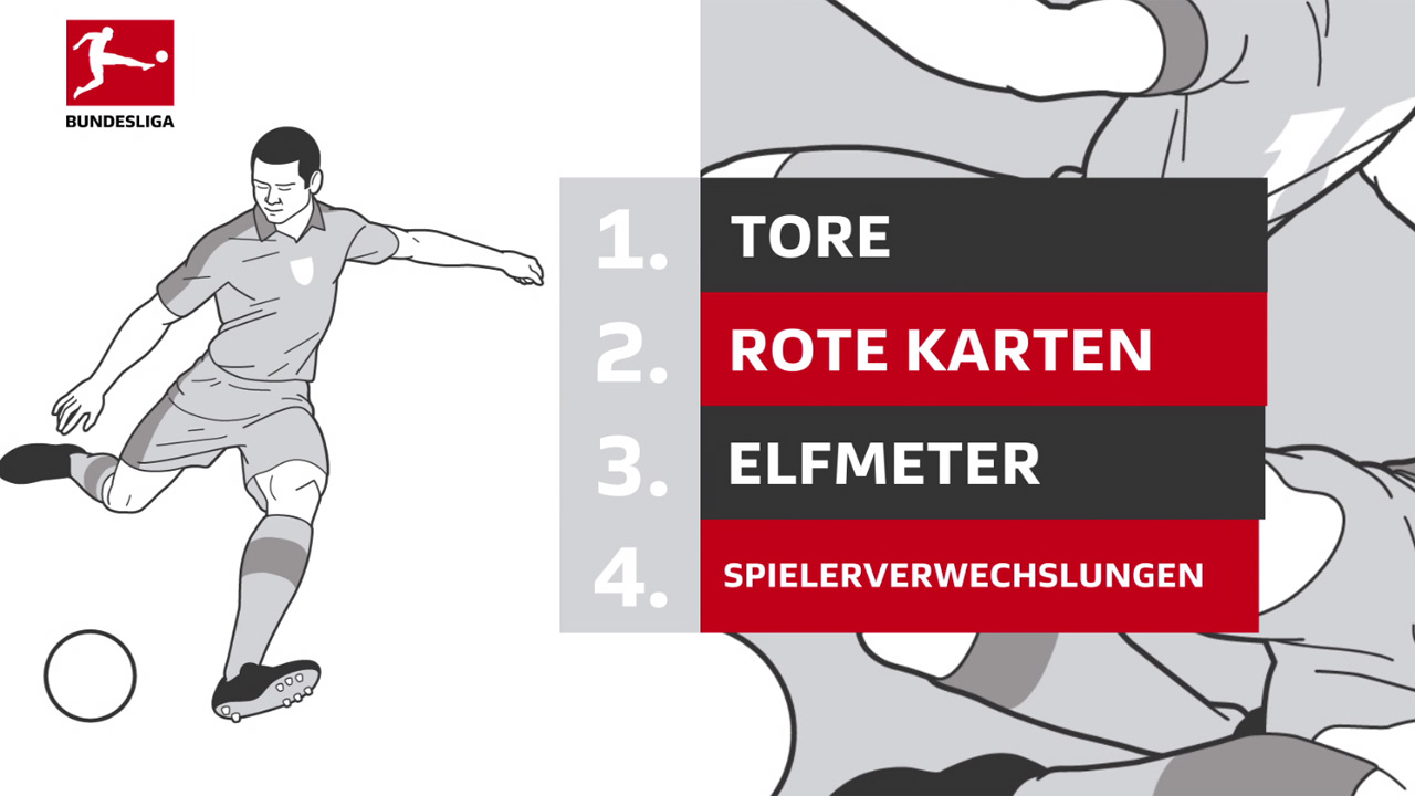 Der Video-Assistent