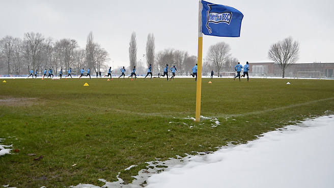 Grüne Insel im Schnee
