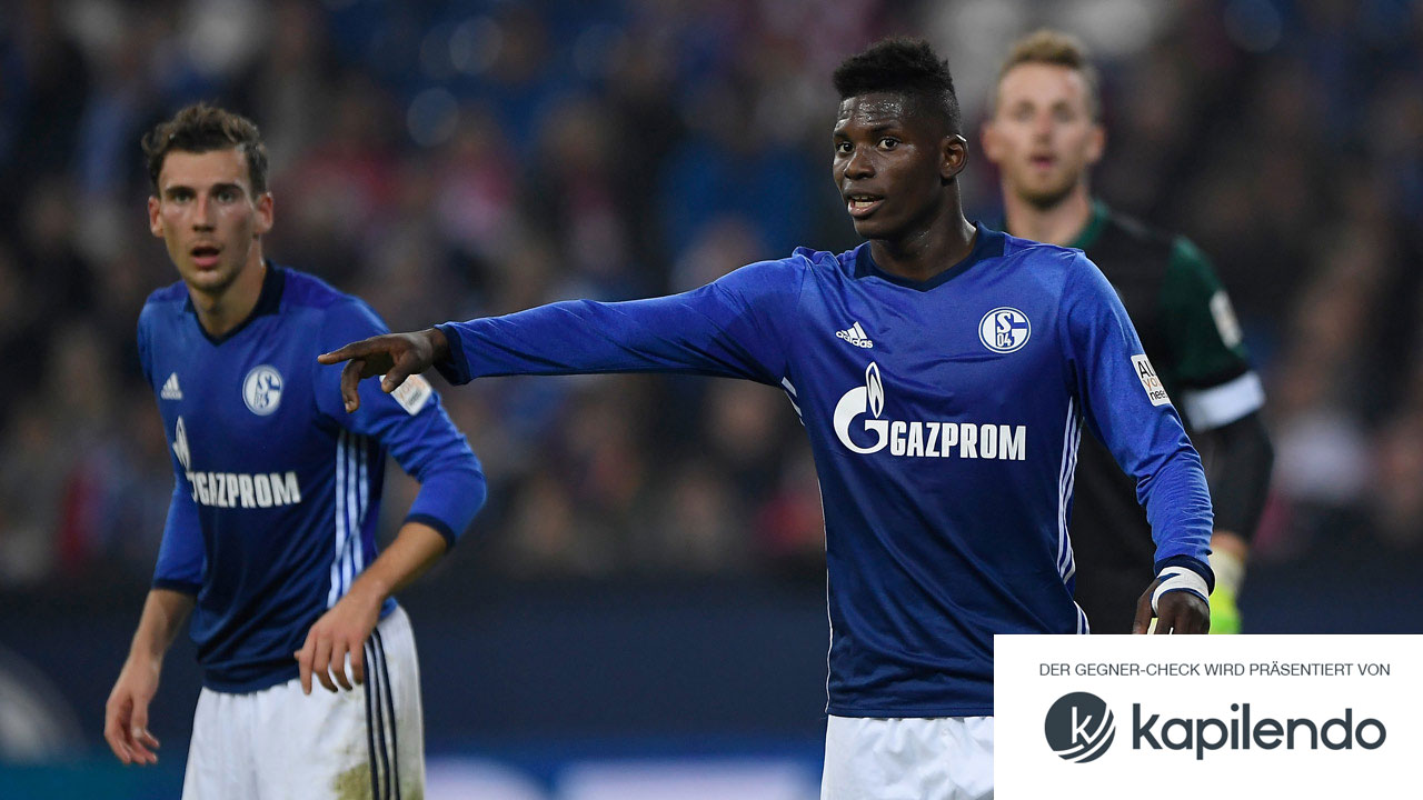 Kiek ma, wer da kommt: Schalke 04