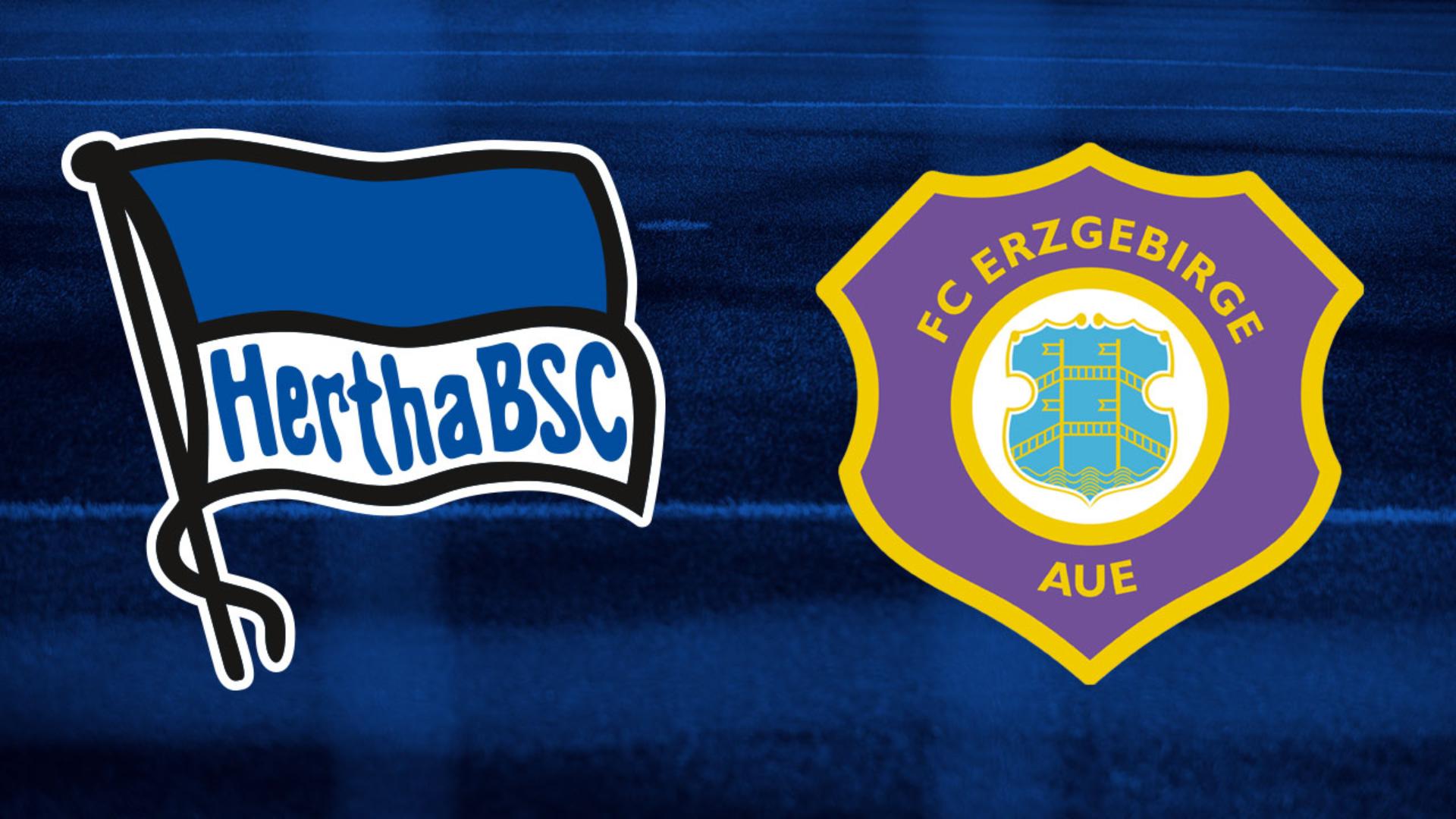 Testspiel gegen Erzgebirge Aue