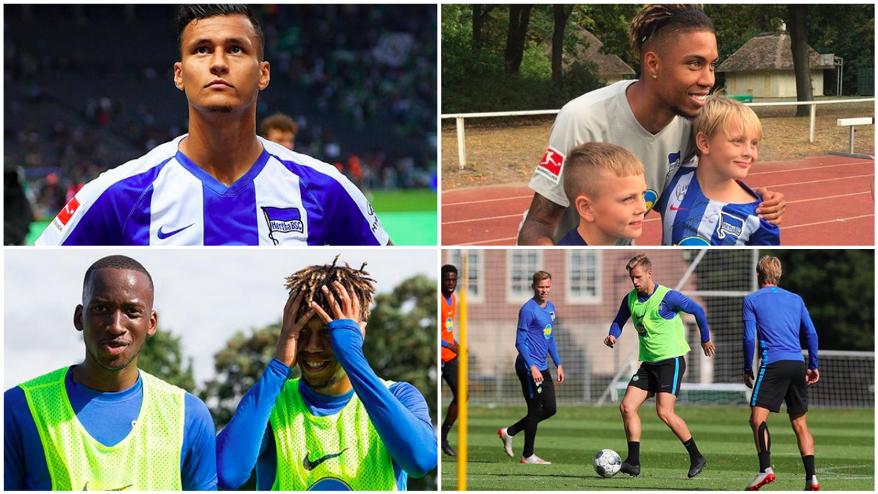 #hahohe #herthabsc