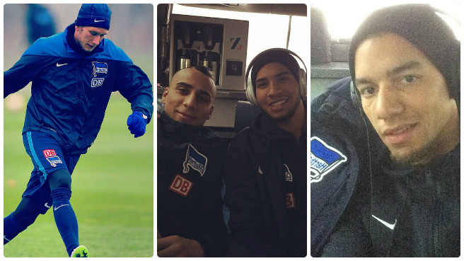 #hahohe