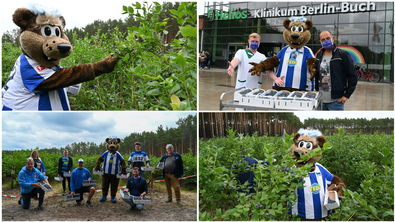  Heidelbeeren für strahlende Kinderaugen 