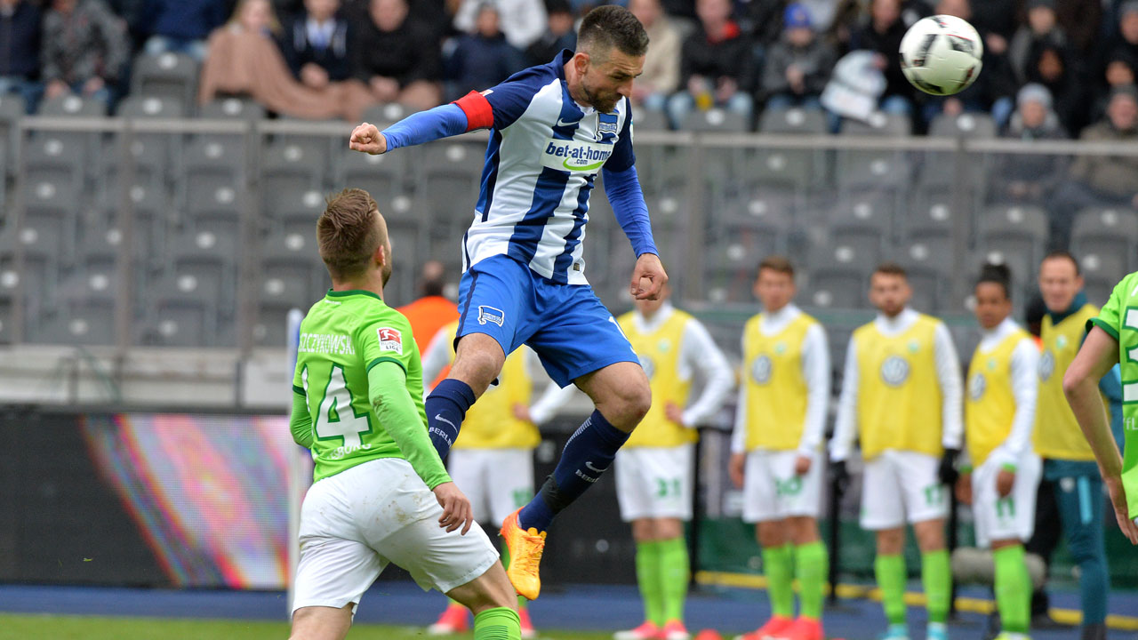 Wohnzimmerwissen: Fakten zu #BSCWOB