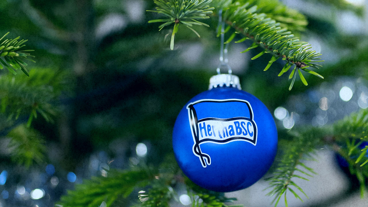 Mitglied werden - Weihnachtsbäume abstauben!