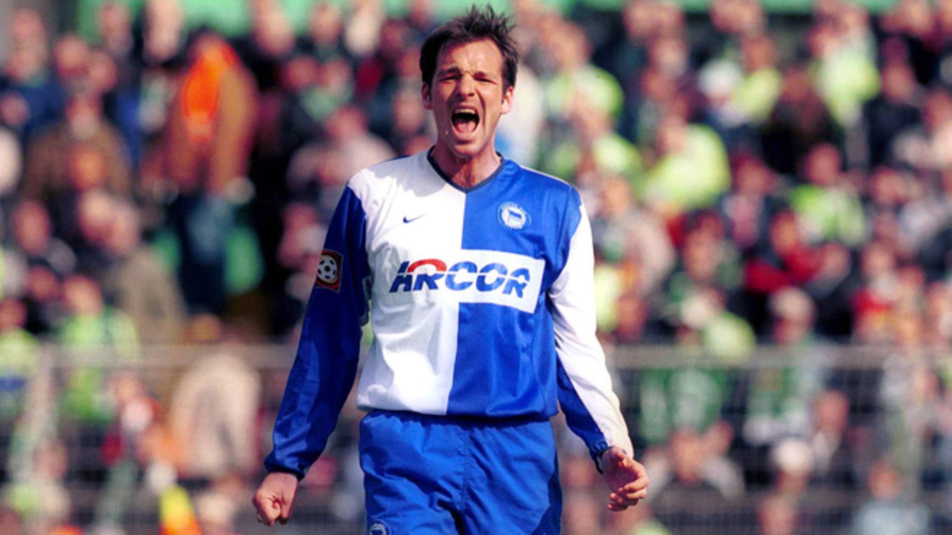 herthagegner-wolfsburg_9
