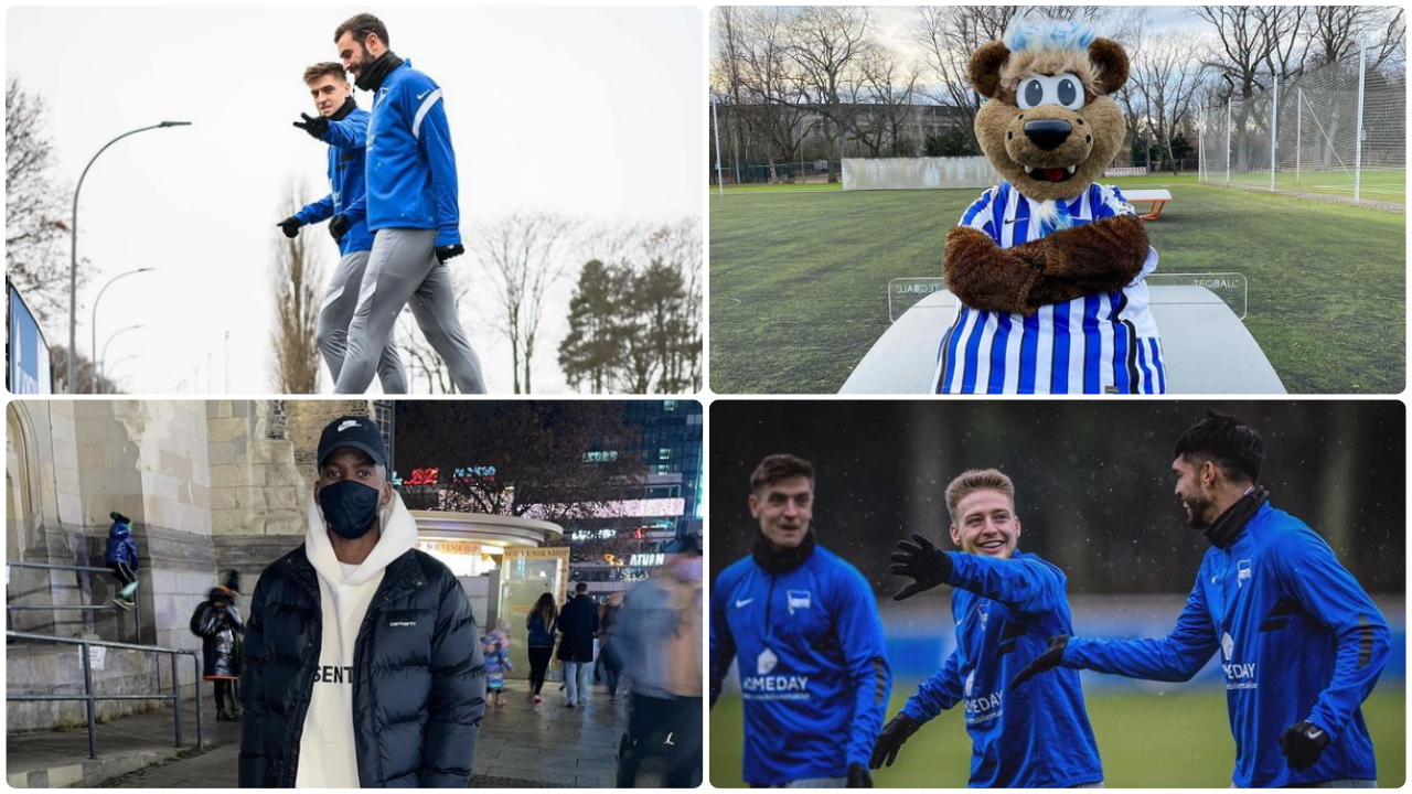 #hahohe #herthabsc