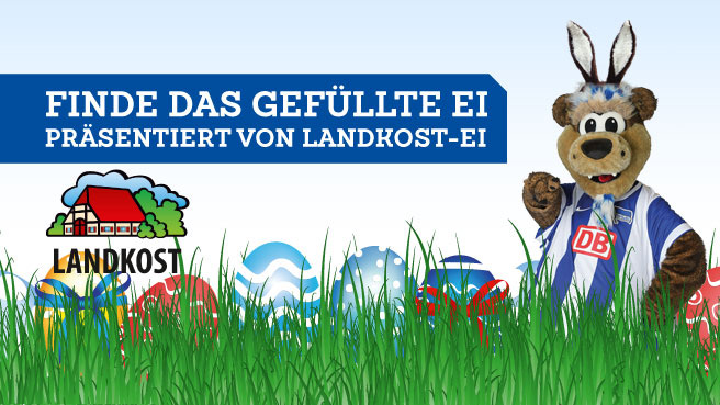 Ein Tag, fünf Eier, ein Klick!