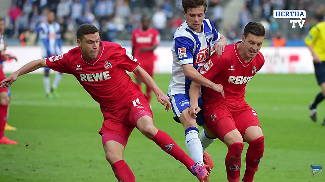 Der 1. FC Köln im Teamcheck