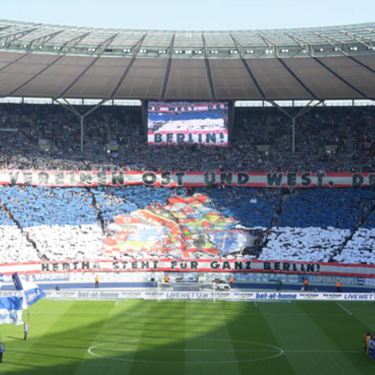 hertha-hamburg-1516_05