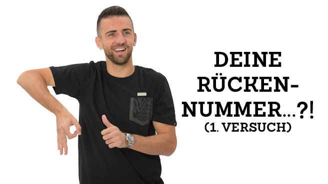 (K)ein Kommentar mit Vedad Ibisevic