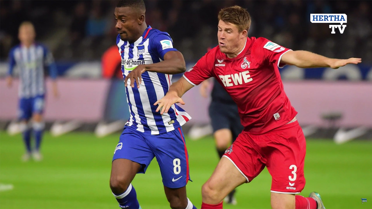 Der 1. FC Köln im Teamcheck
