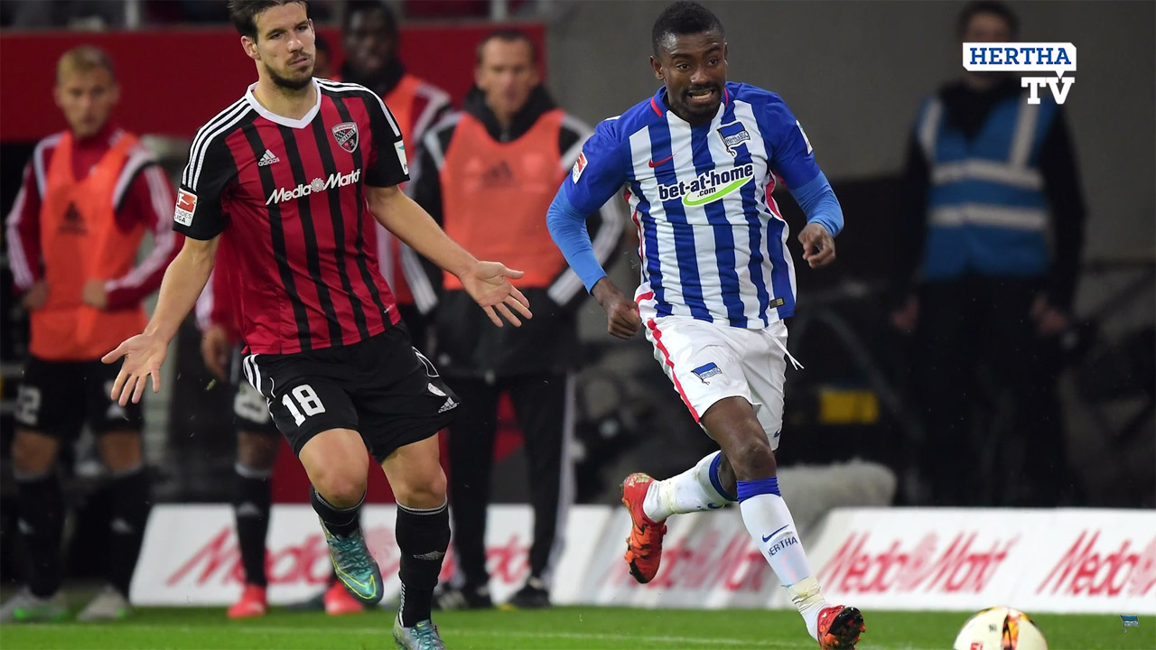 Der FC Ingolstadt im Teamcheck