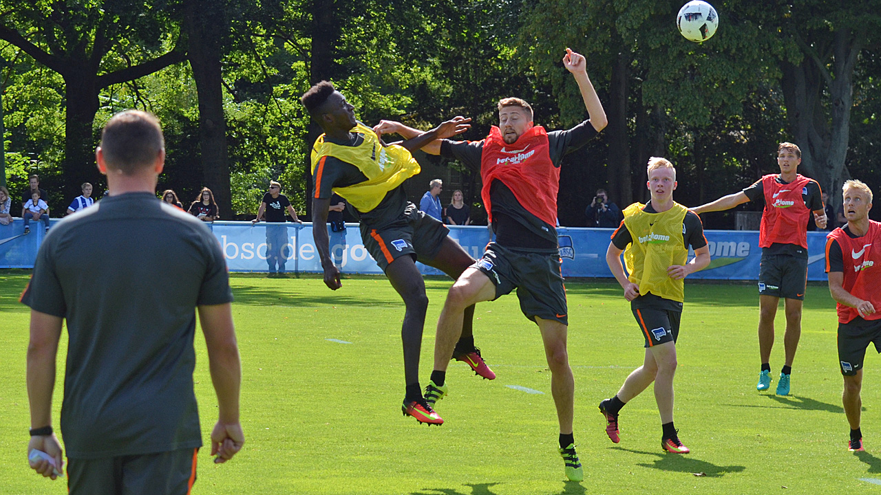 Brøndby IF im Fokus