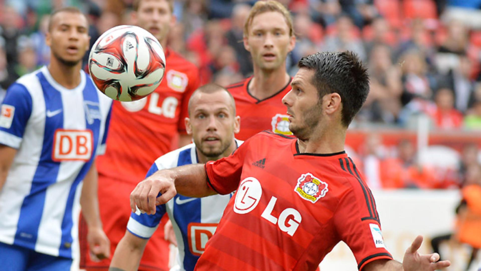 leverkusen-hertha-1415_19