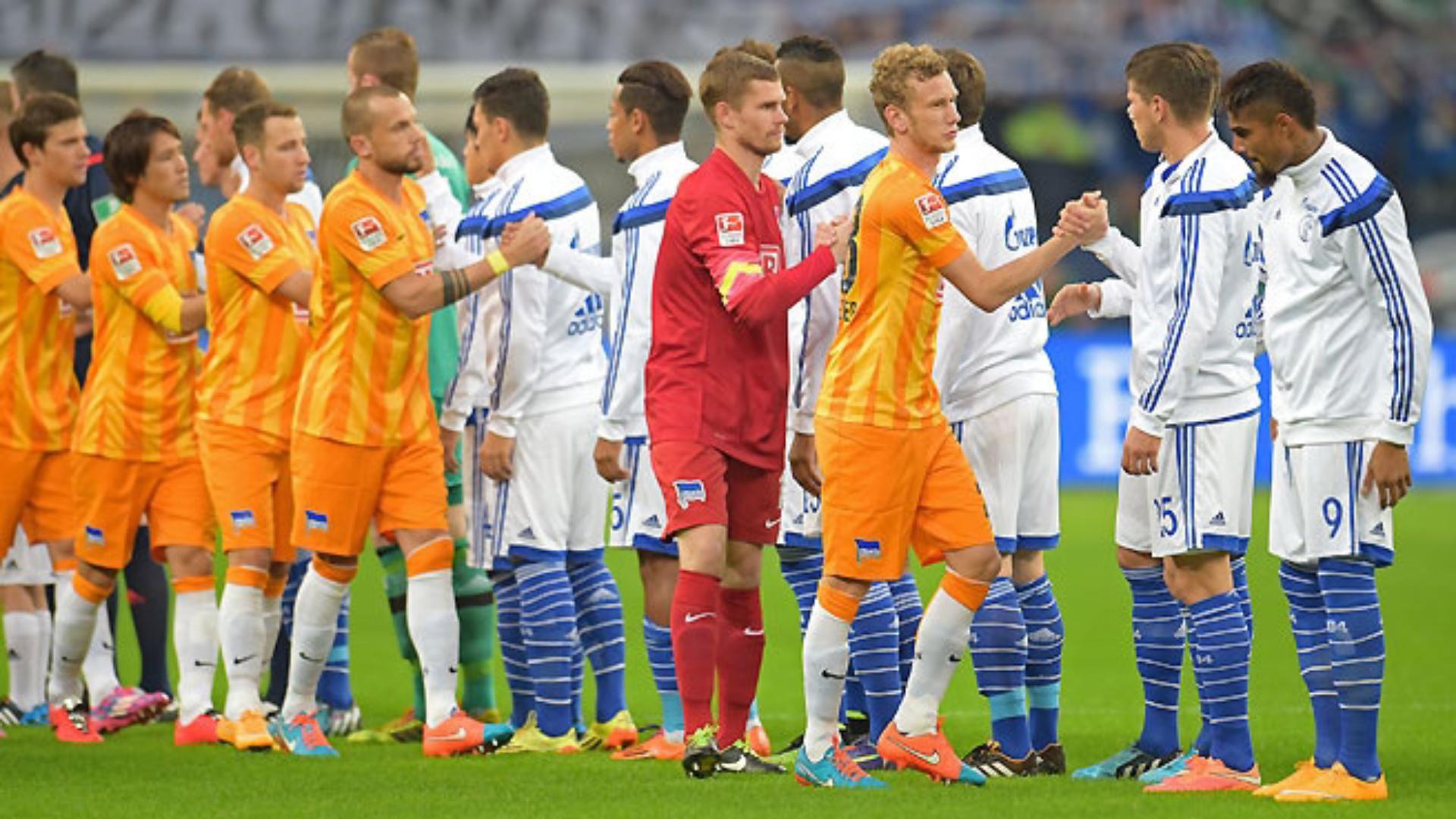 schalke-hertha-1415_40