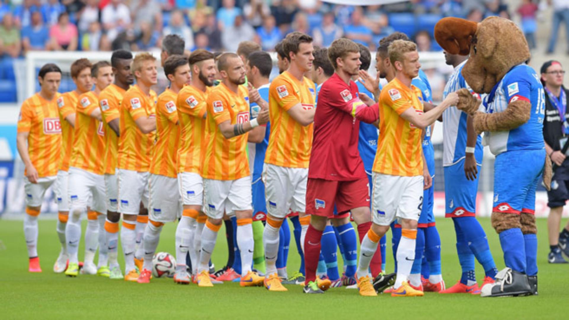 hoffenheim-hertha-1415_08