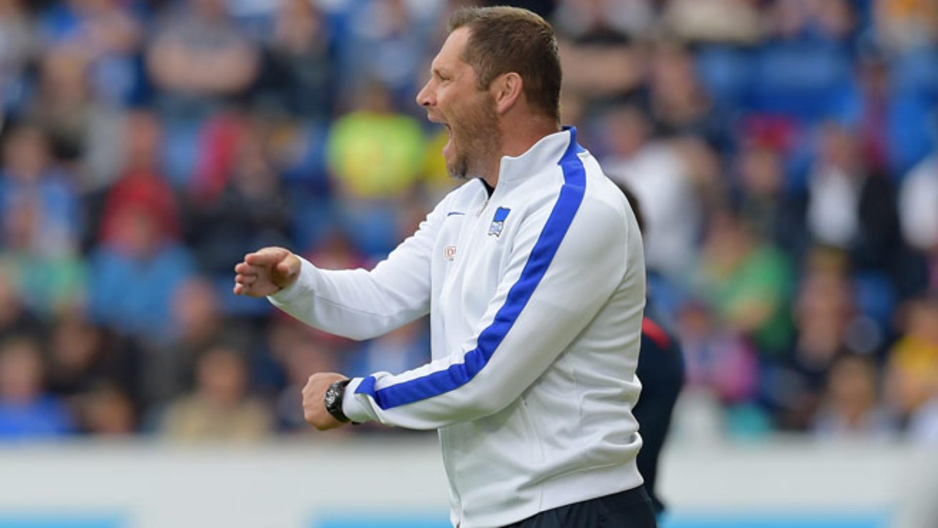 hoffenheim-hertha-1415_17