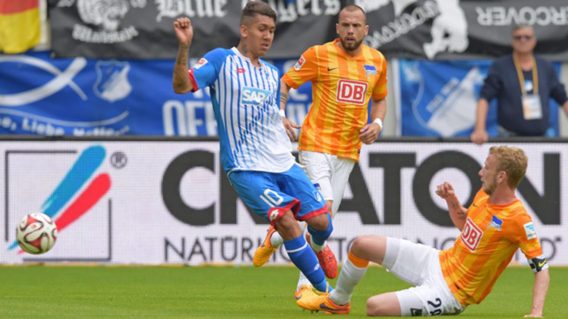 hoffenheim-hertha-1415_30