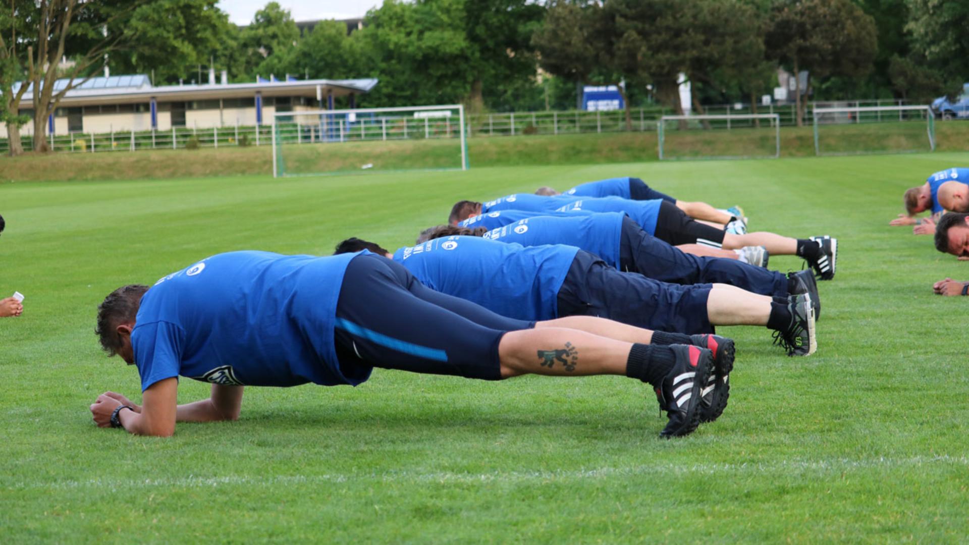 fansimtraining_10