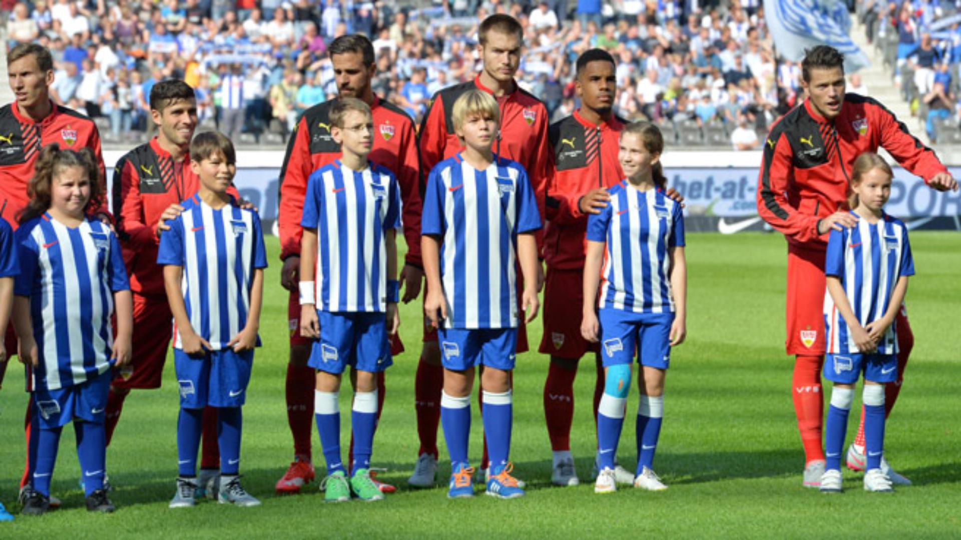 vfb-1516_14