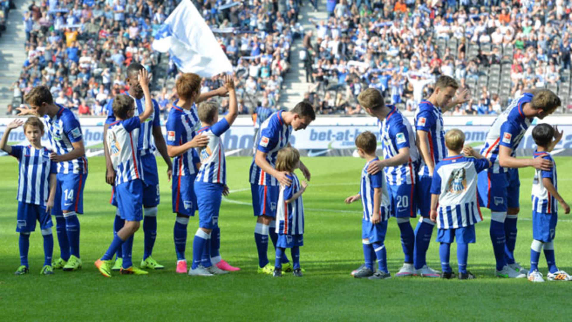vfb-1516_15