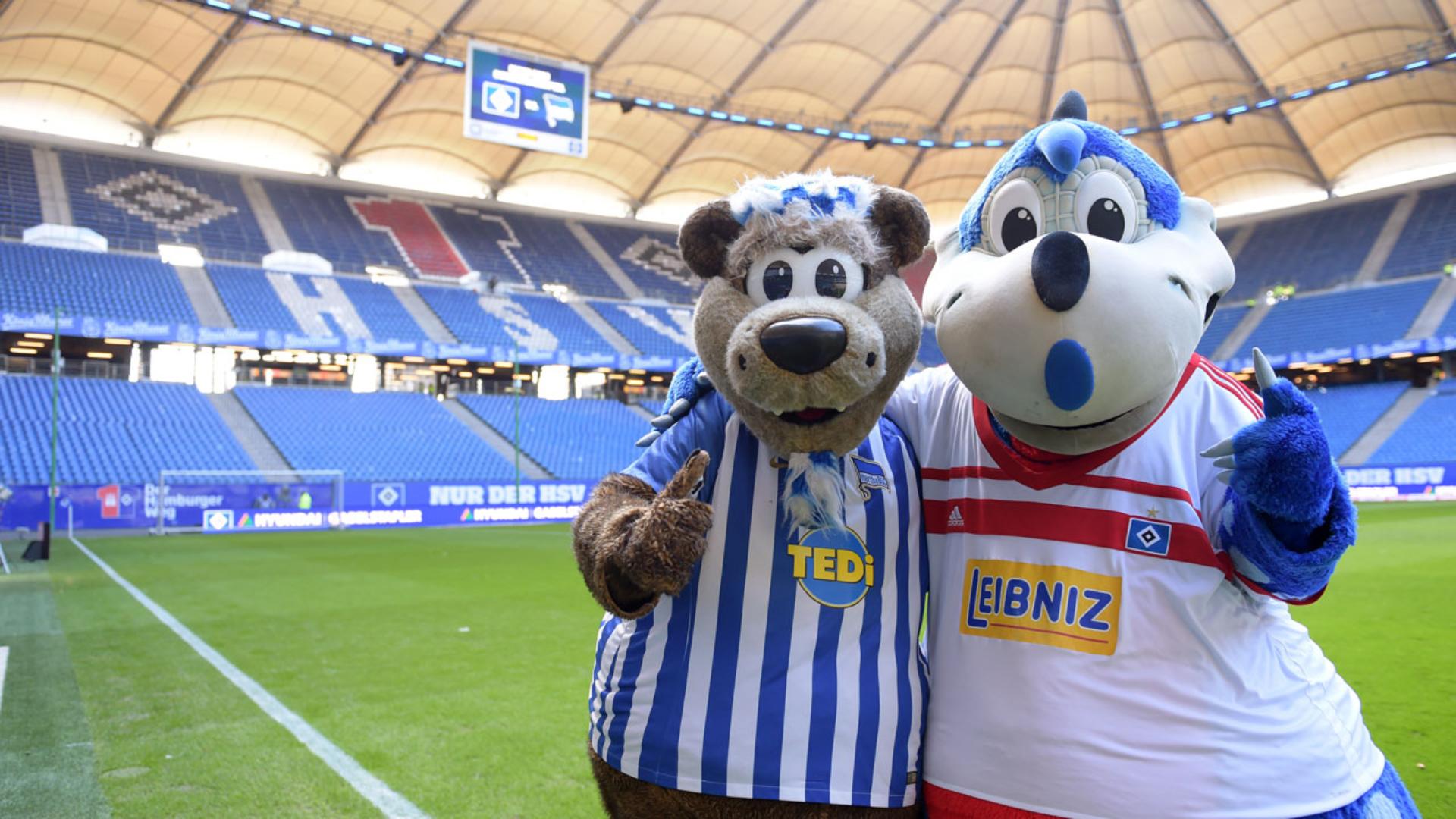 hamburg-hertha-1718_01