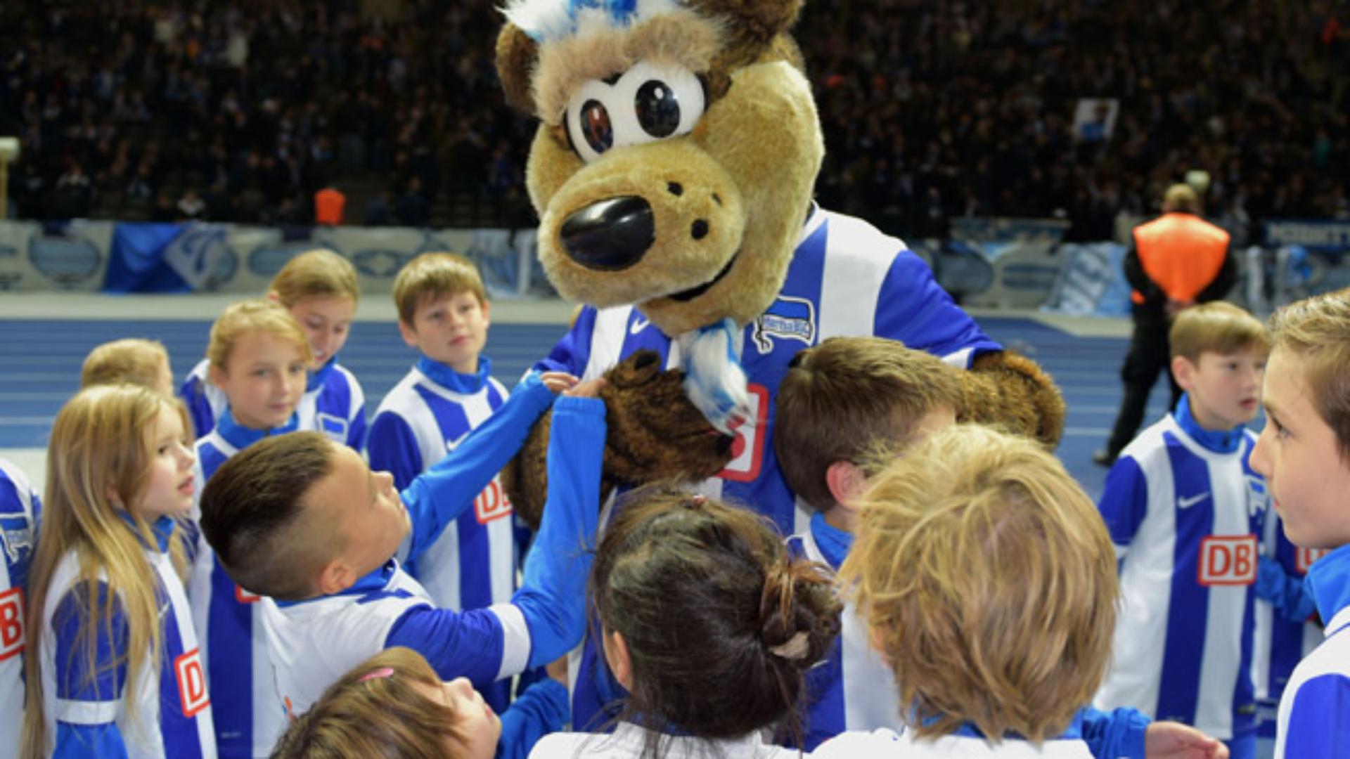kc-hannover_25