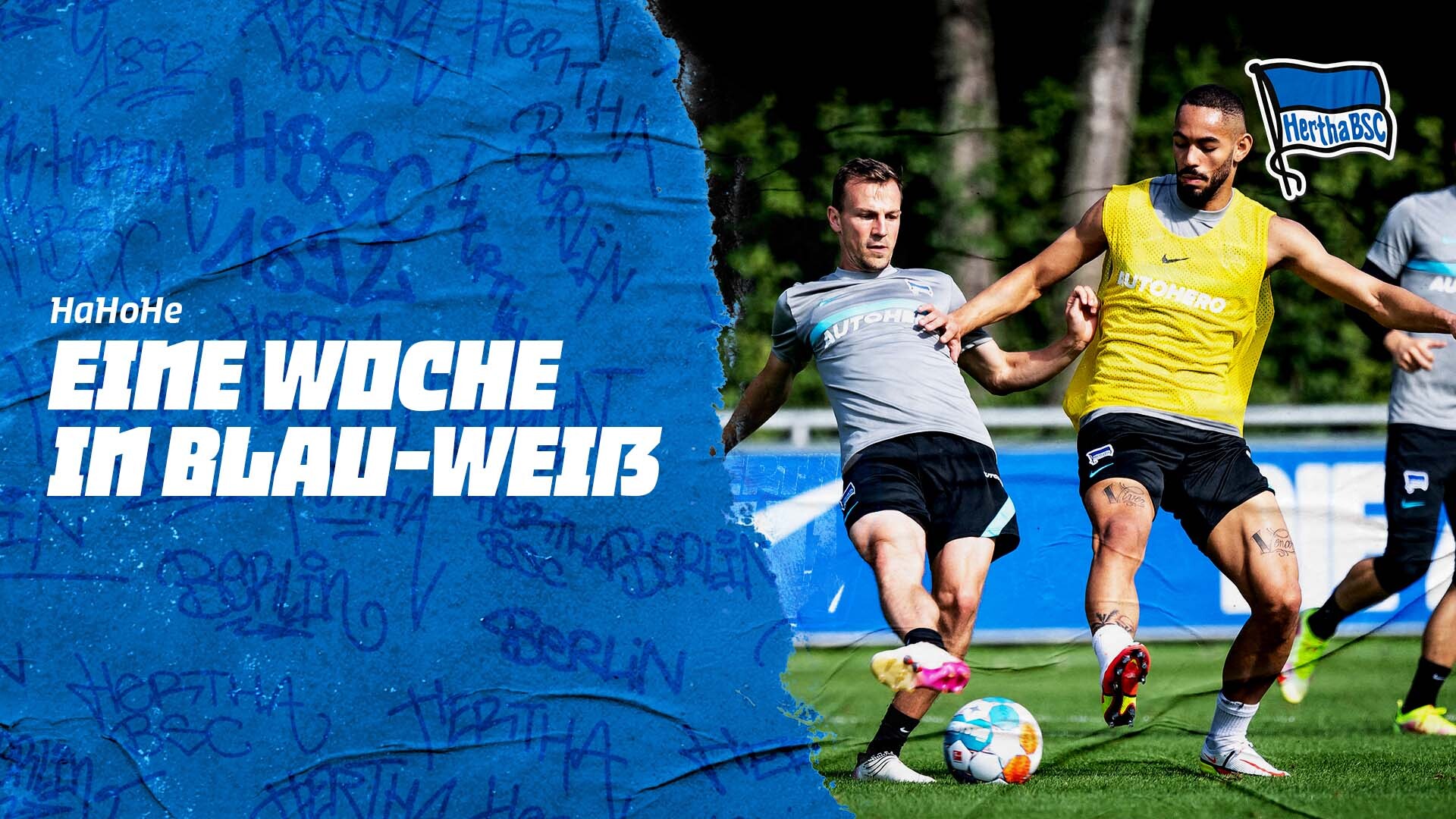 Das Logo der Woche in Blau-Weiß.
