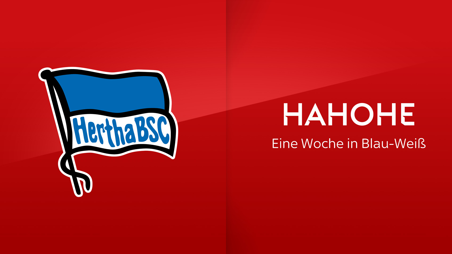 Visual Partnerschaft Hertha BSC Sky.