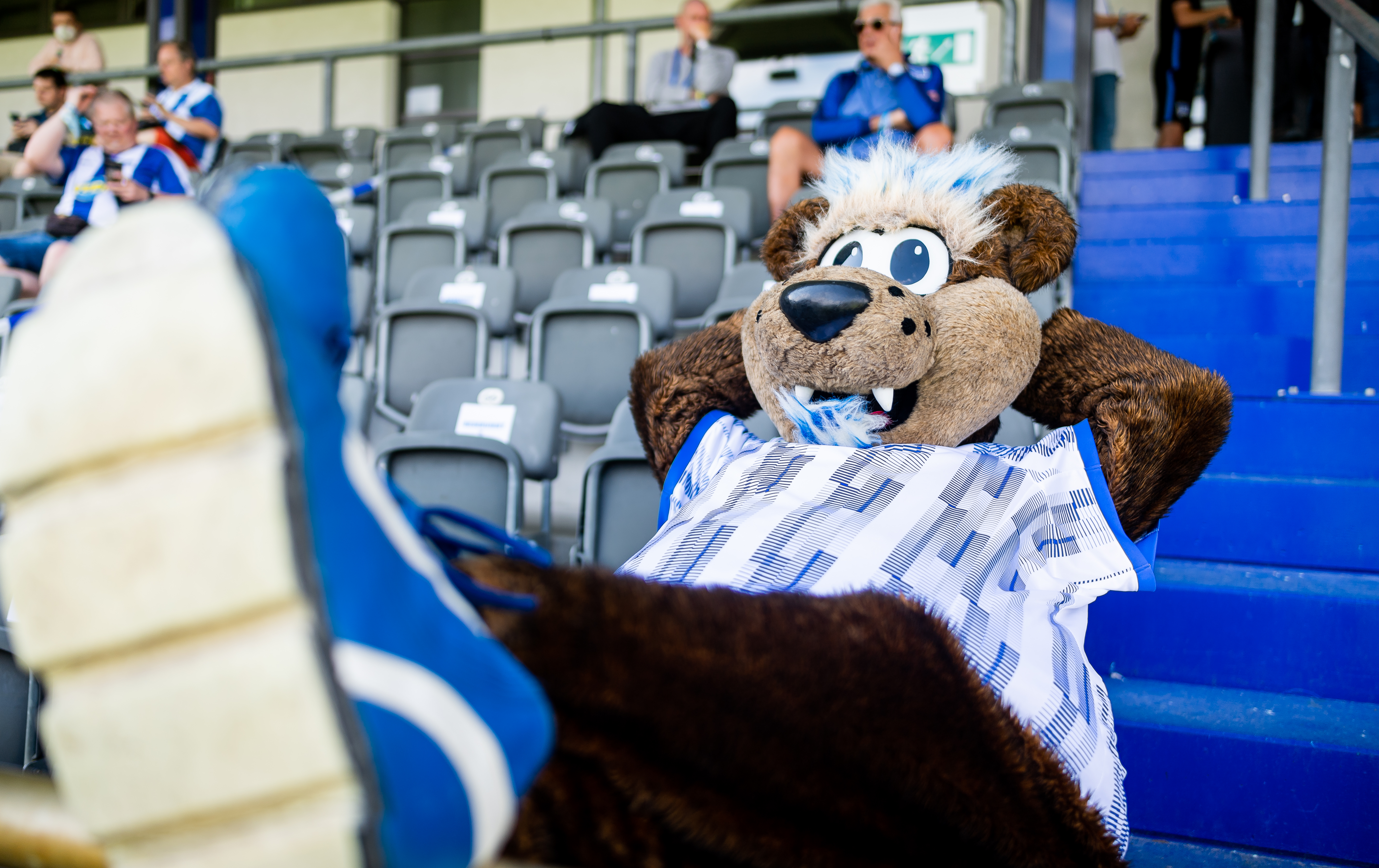 Herthinho sitzt im Stadion auf dem Wurfplatz/Amateurstadion.