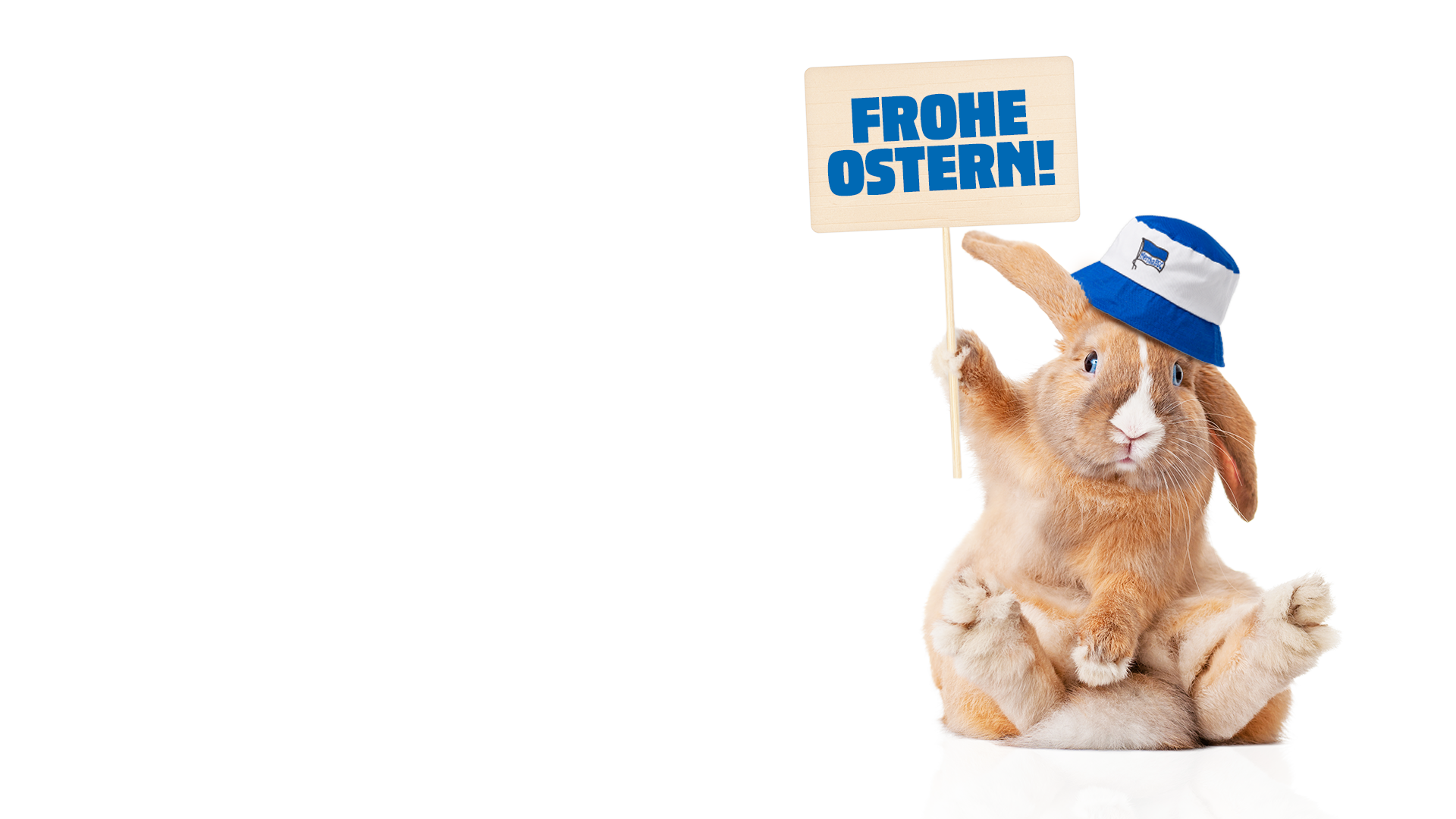 Frohe Ostern!