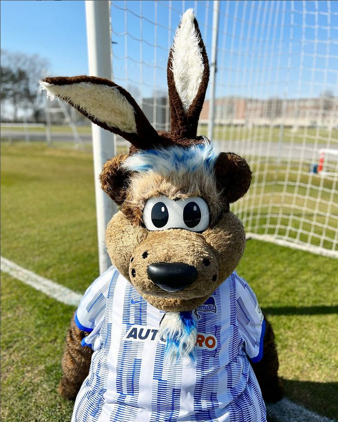 Hertinho mit Hasenohren zu Ostern.