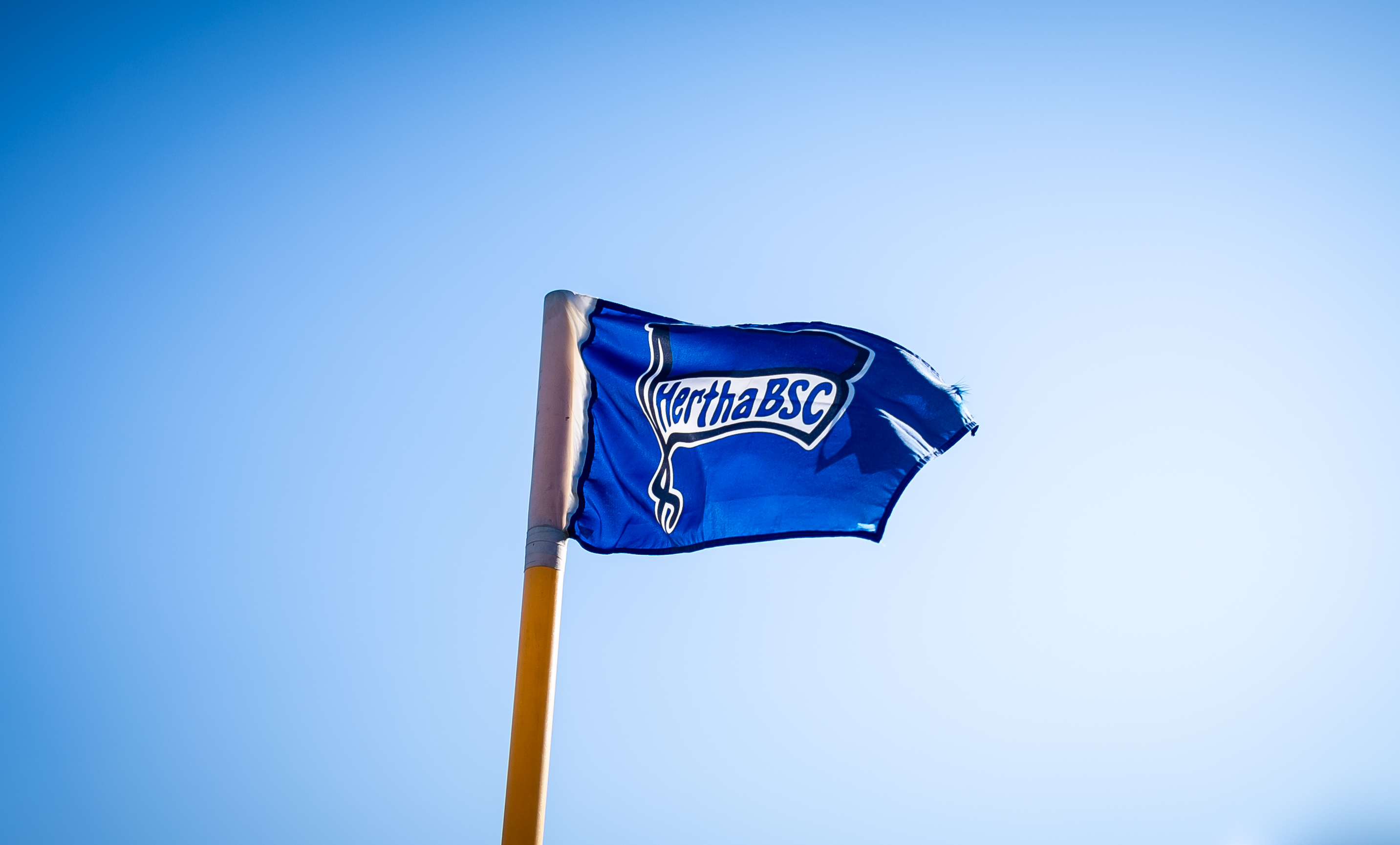 Hertha flag flying in the wind