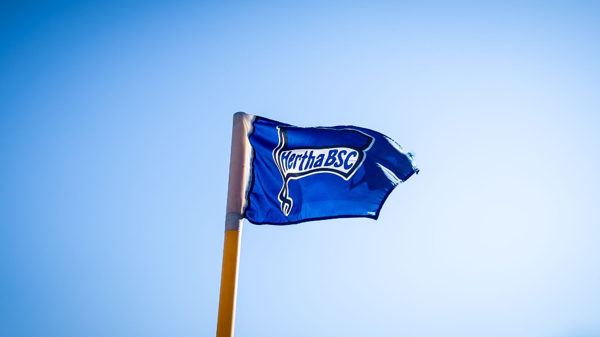 Hertha flag flying in the wind