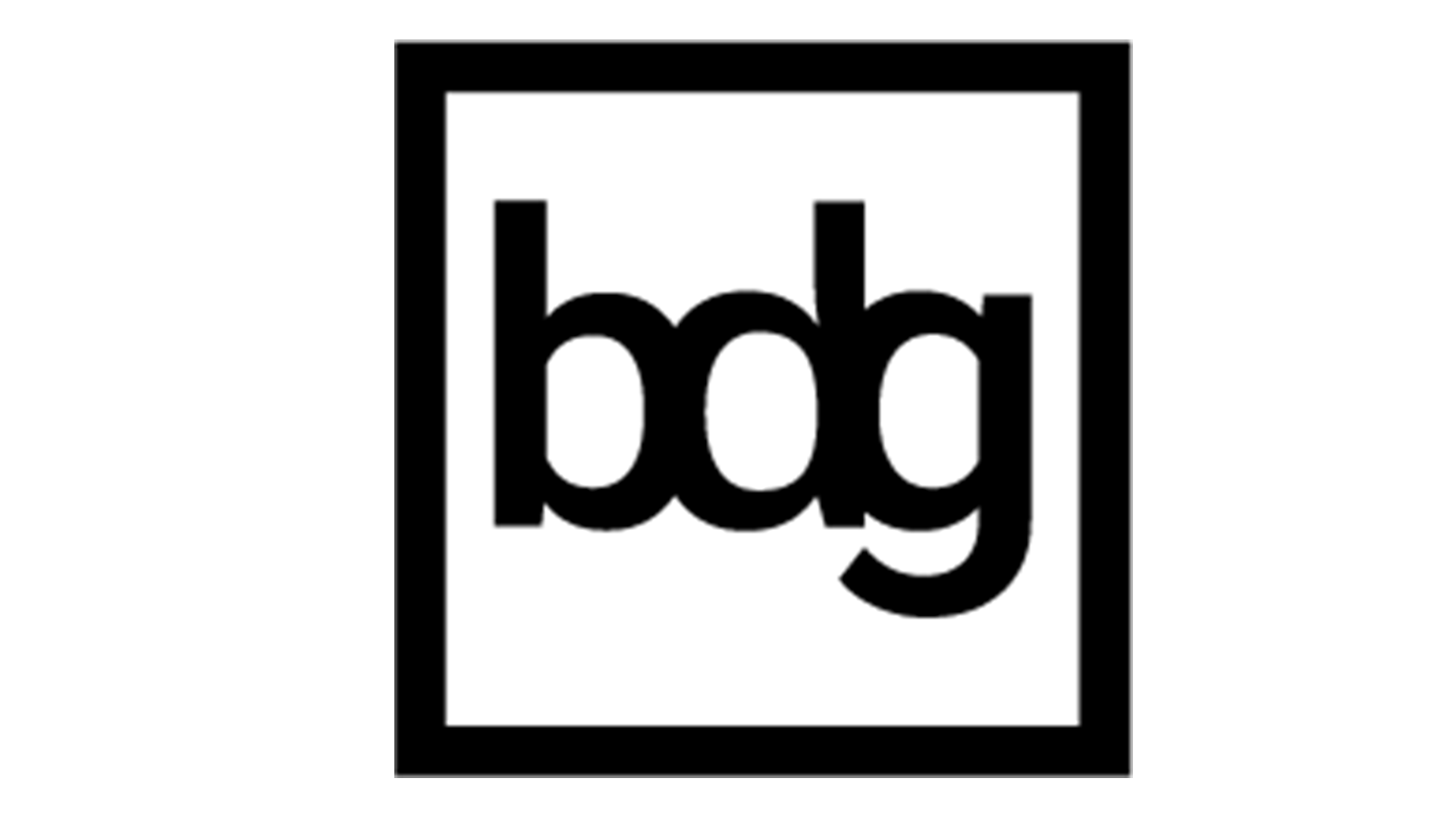 Logo Better Decisions Group