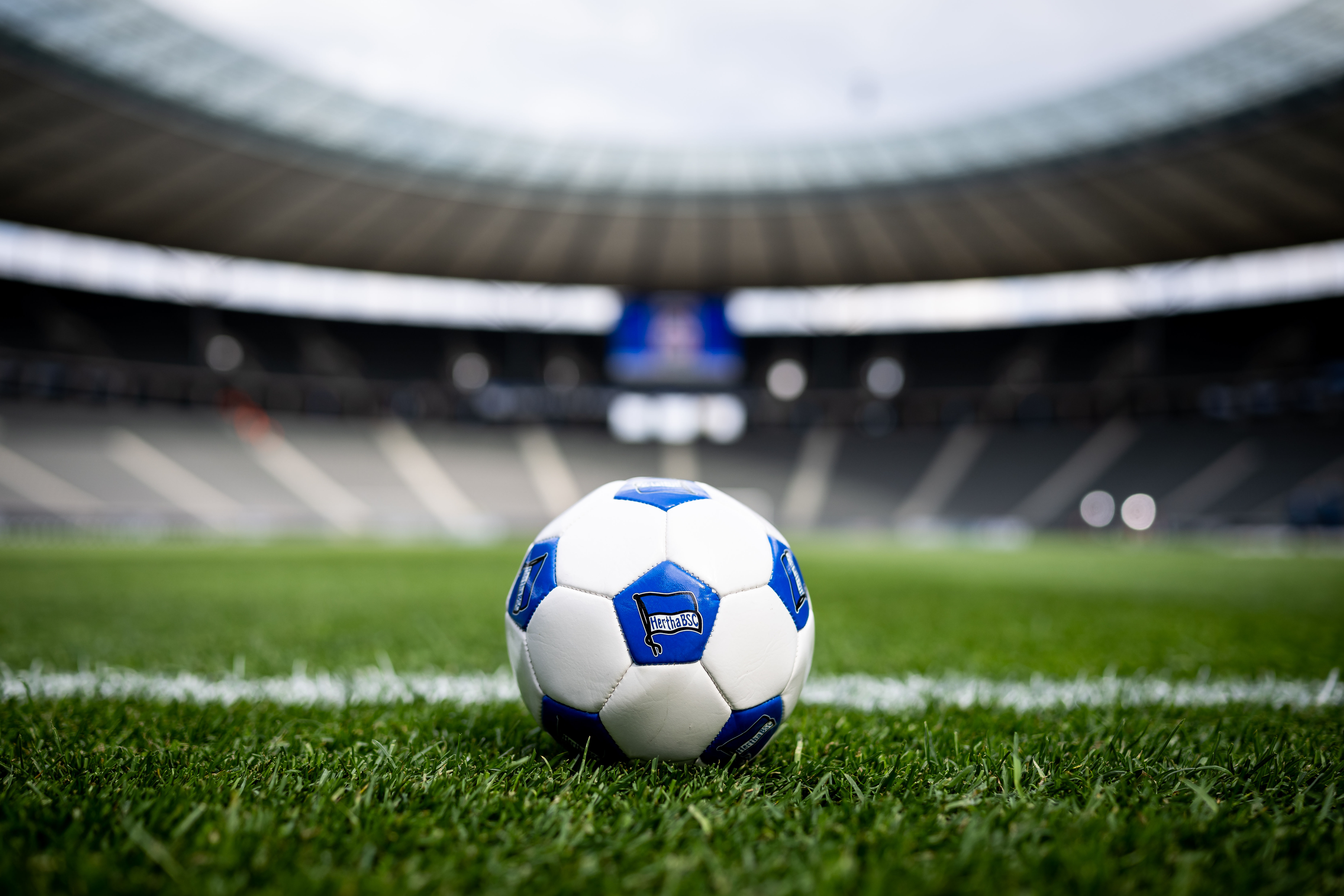 Ein Hertha-Fußball liegt auf dem Rasen des Olympiastadions.