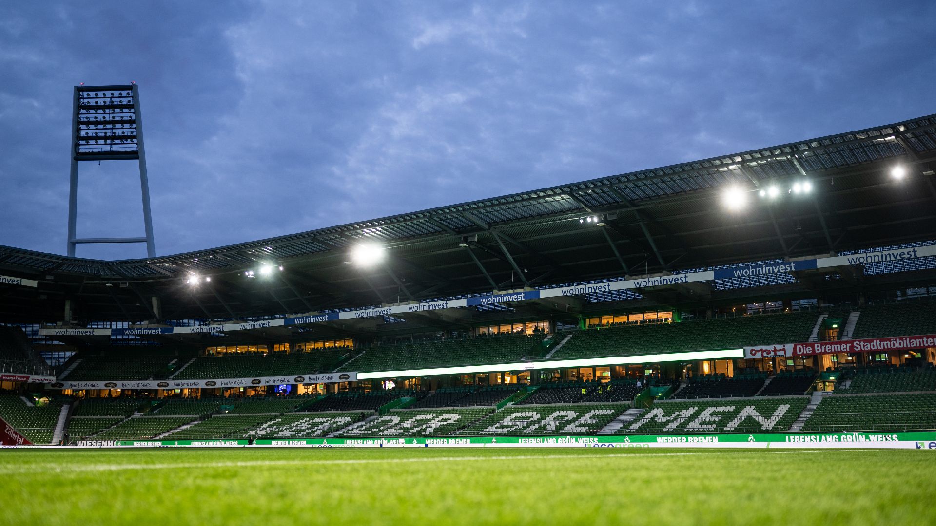 Das Rasen und die Tribüne im wohninvest WESERSTADION.